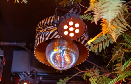 Bas Cafe - Nijmegen