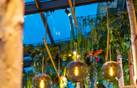 Hans Im Gluck Den Haag